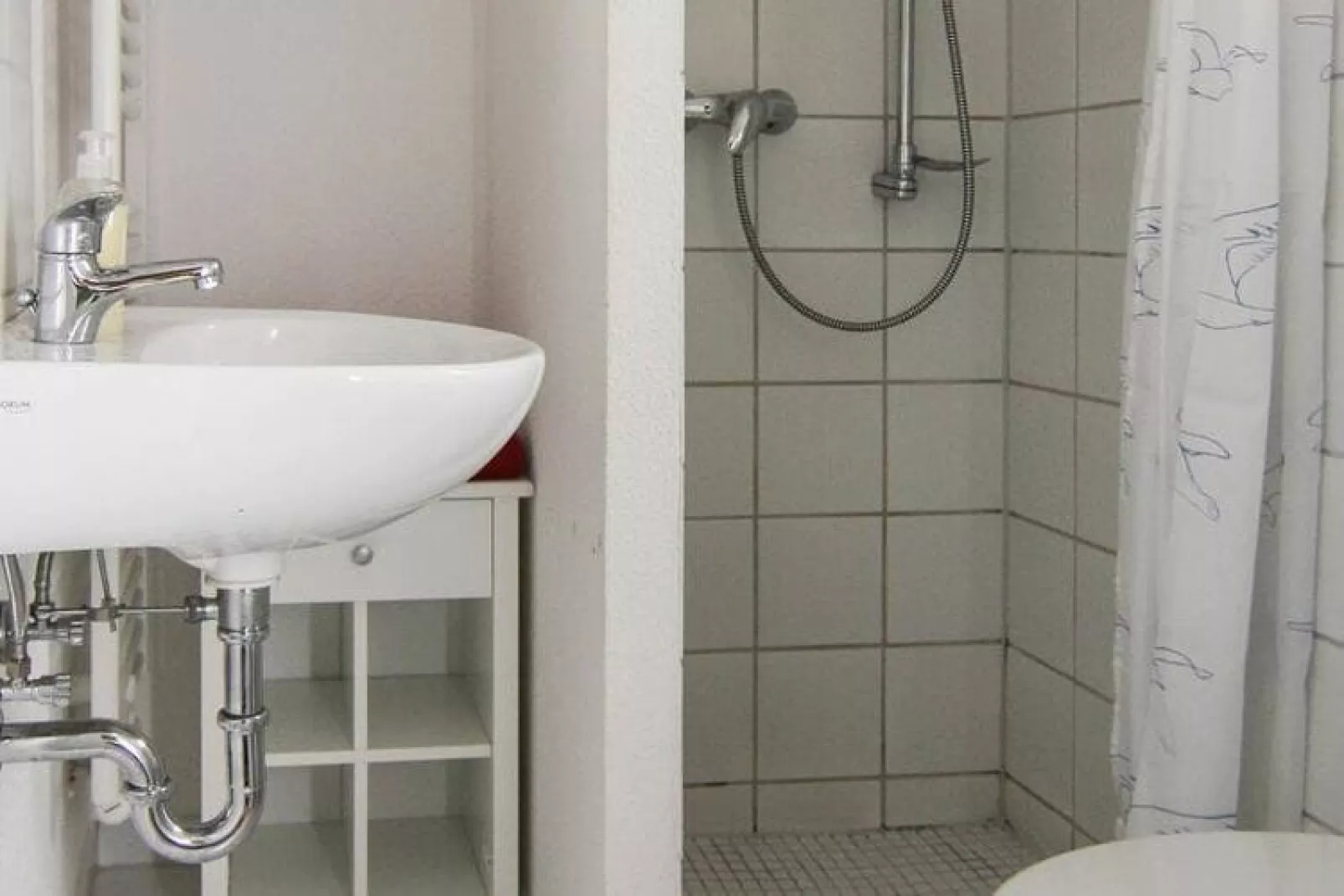 Ferienhaus Gänseblümchen-Salle de bain