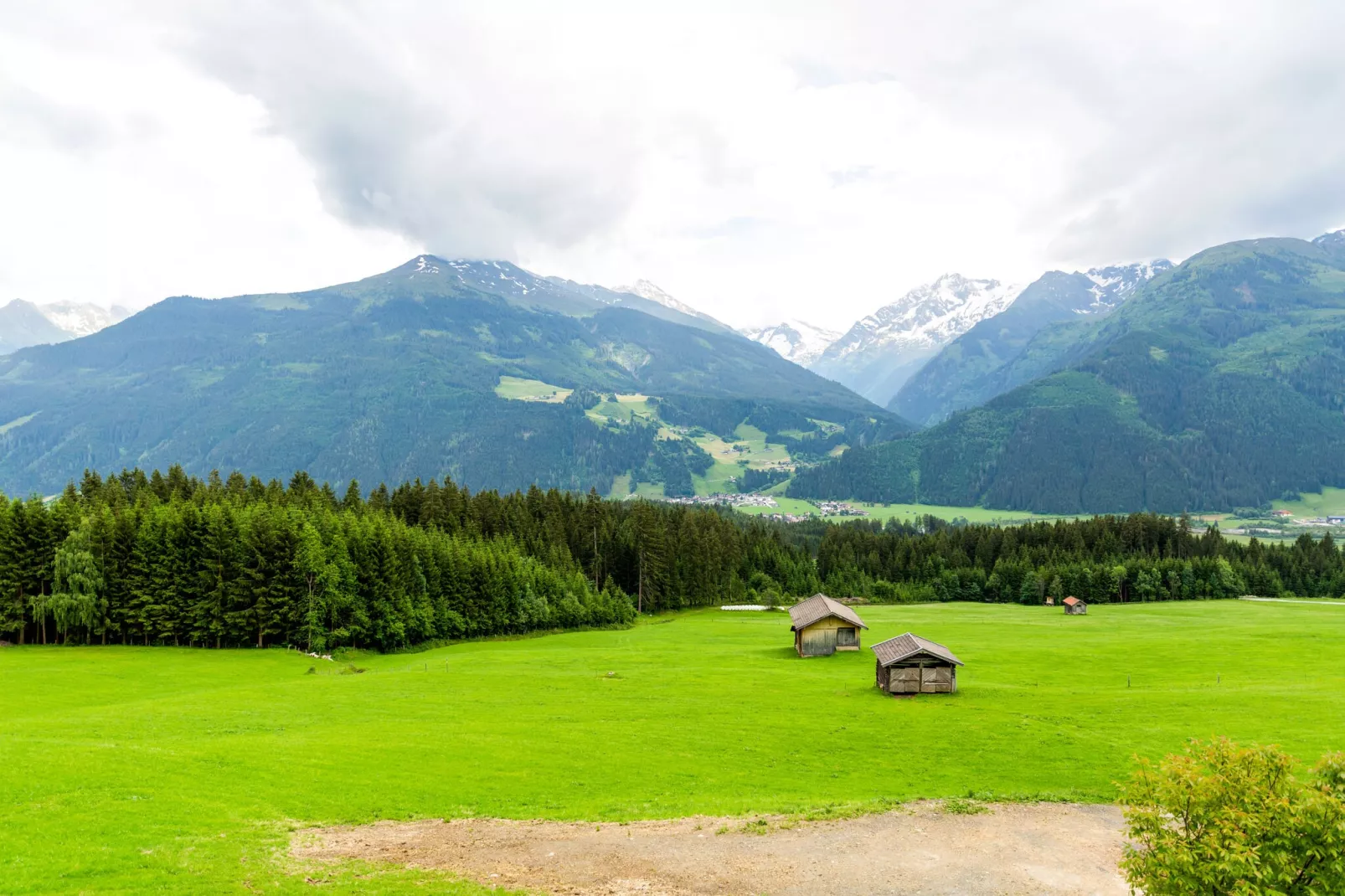 Entleitenhof L-Aussicht Sommer