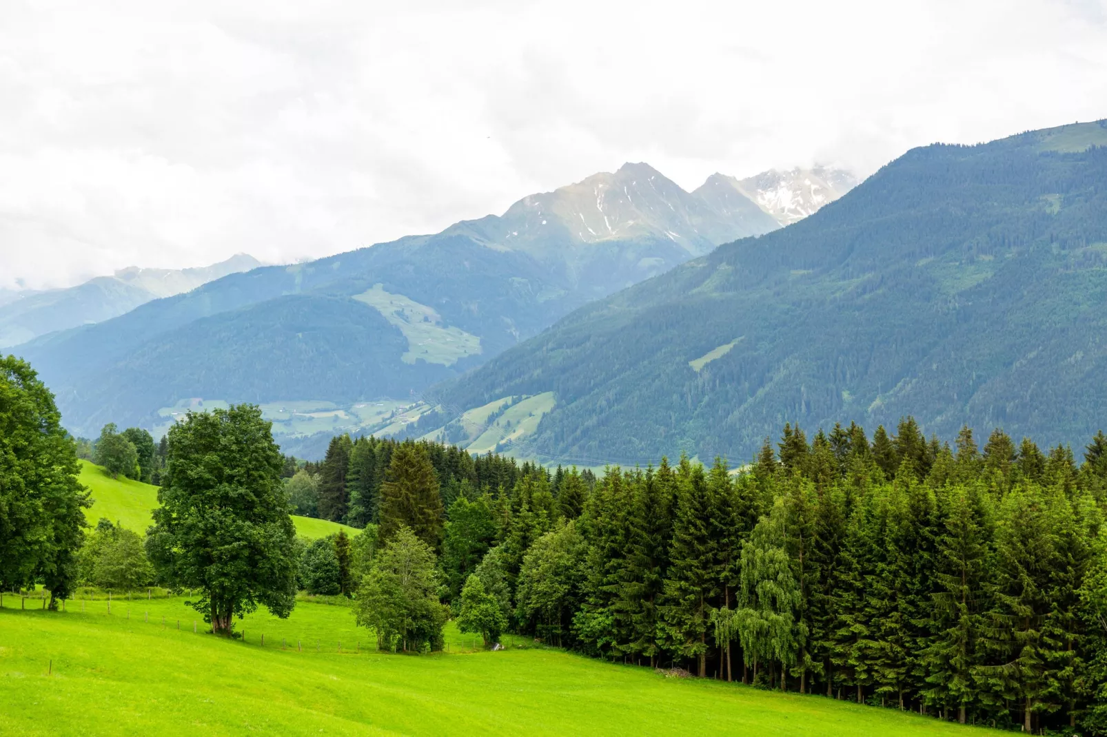 Entleitenhof L-Gebiete Sommer 1 km