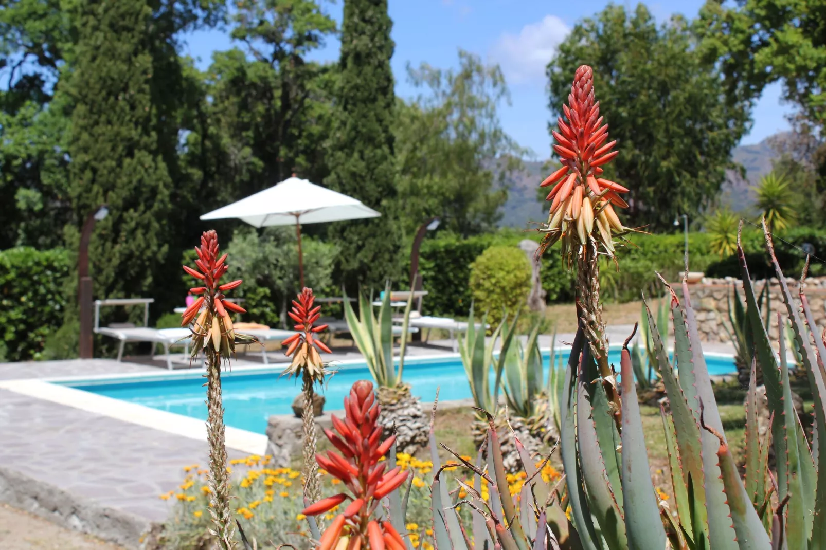 Villa Alexa-Pool