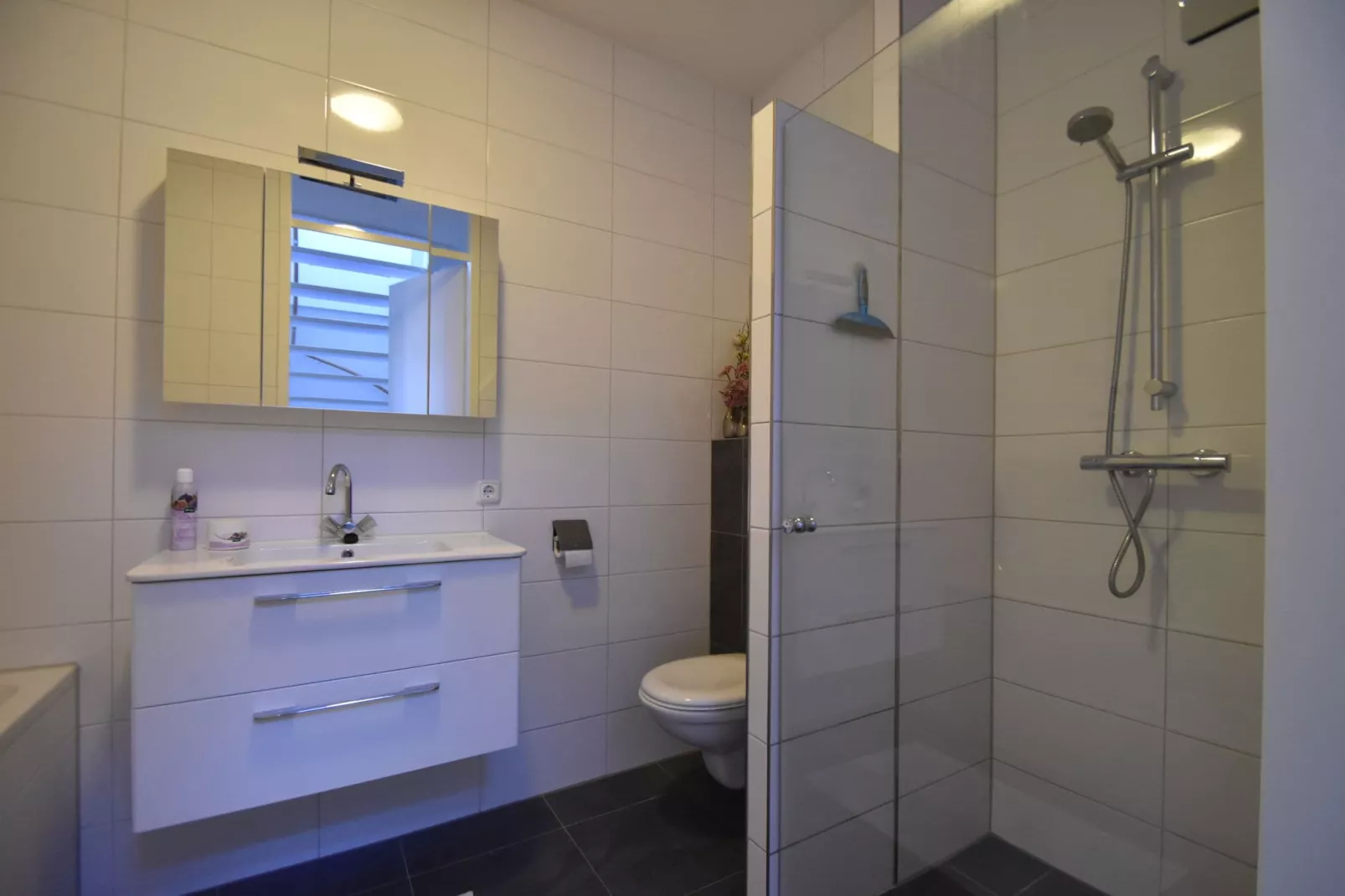 Modern Limmen-Bathroom