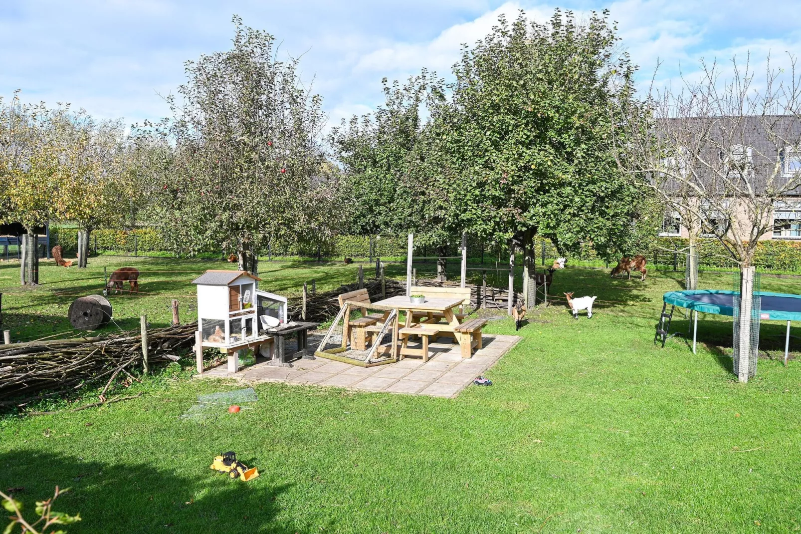 Landelijk Utrecht-Gardens in summer