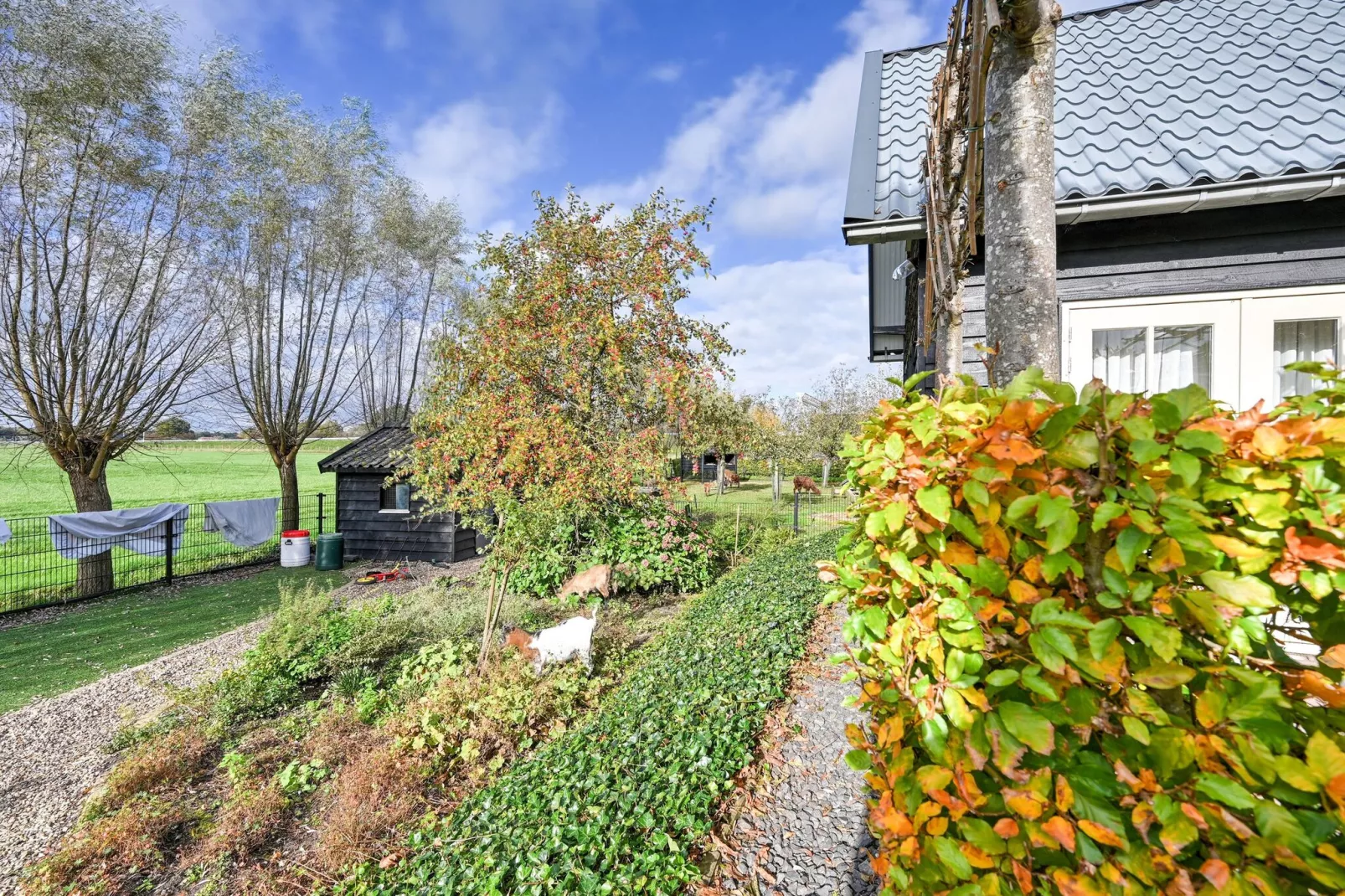 Landelijk Utrecht-Gardens in summer