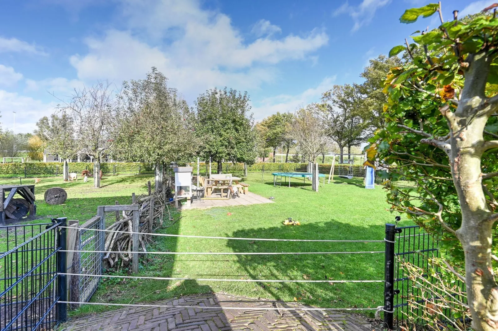 Landelijk Utrecht-Gardens in summer
