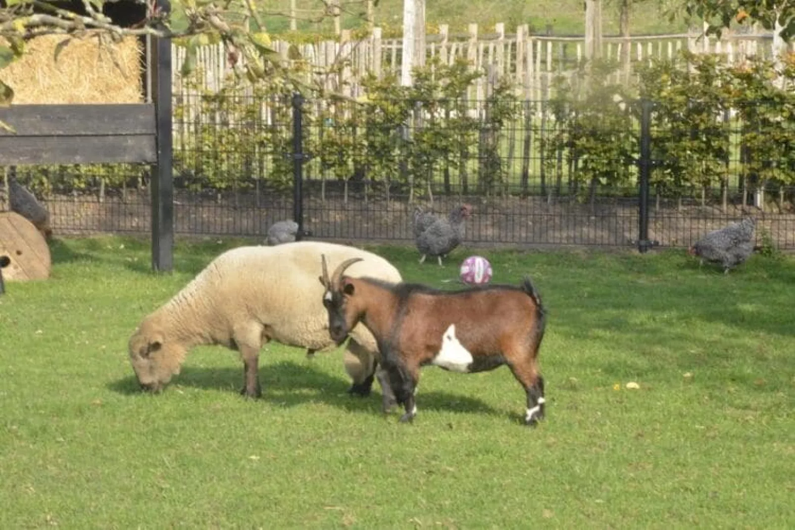 Landelijk Utrecht-Areas within 1km in summer
