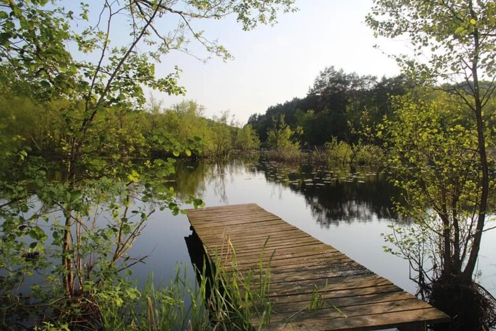 Holiday home at the lake Kolczewo WIE-Gardens summer