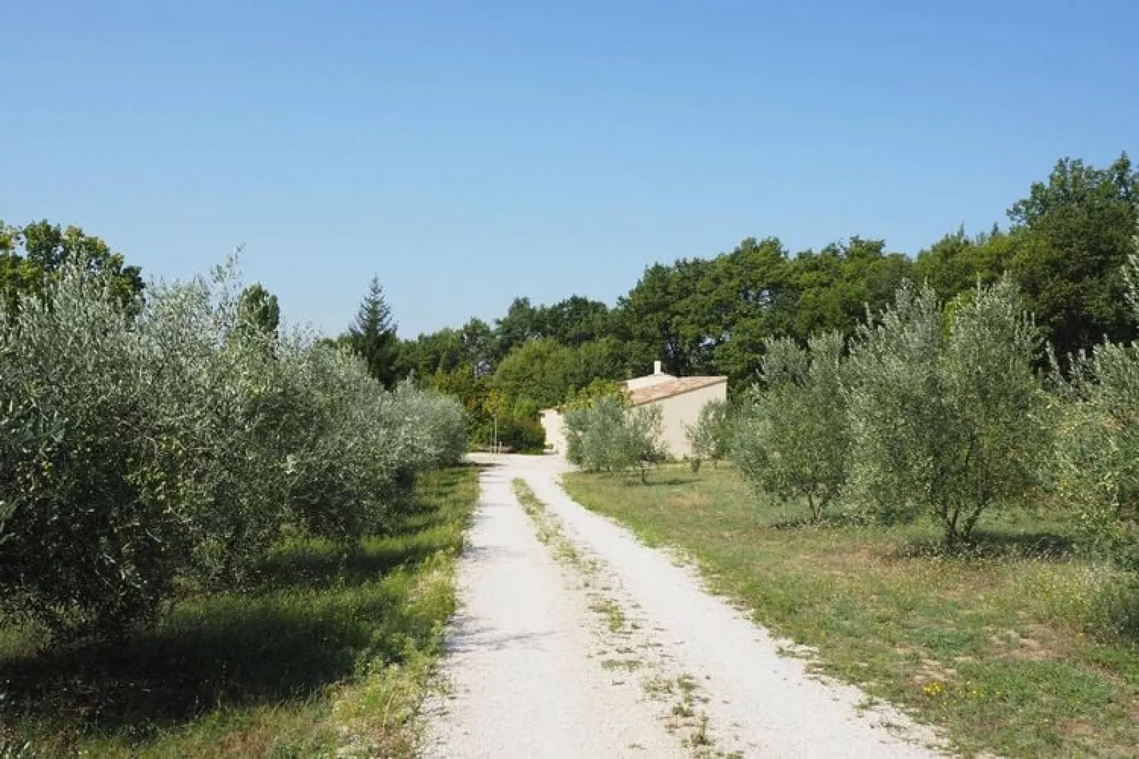 Ferienhaus in Puyméras / Villa Julia-Jardin d'été