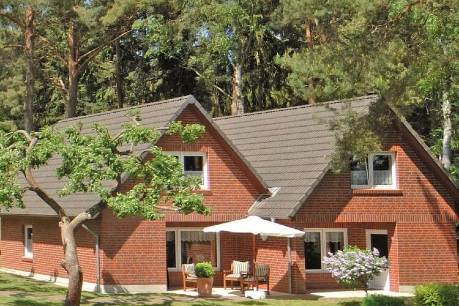 Ferienhaus in Plau am See-Exterior summer