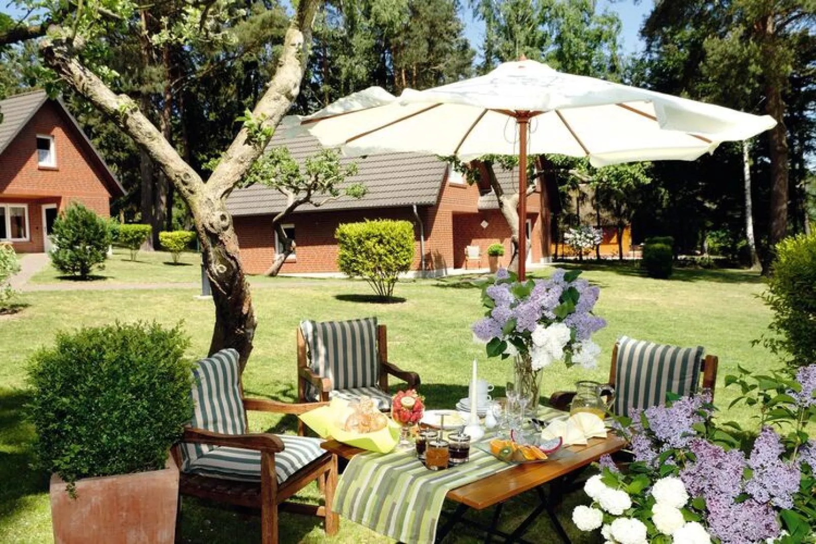 Ferienhaus in Plau am See-Gardens summer