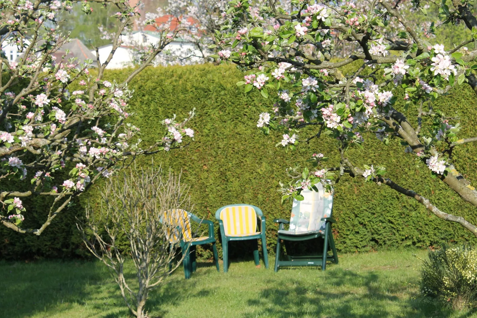 Karins Ferienwohnung-Gärten Sommer