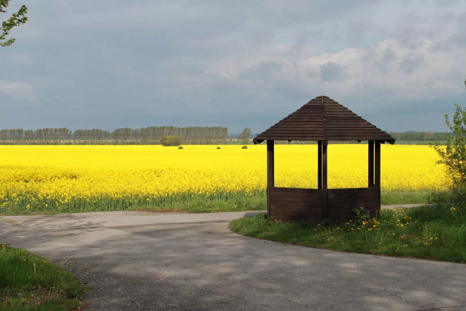 Karins Ferienwohnung-Gebiete Sommer 5 km