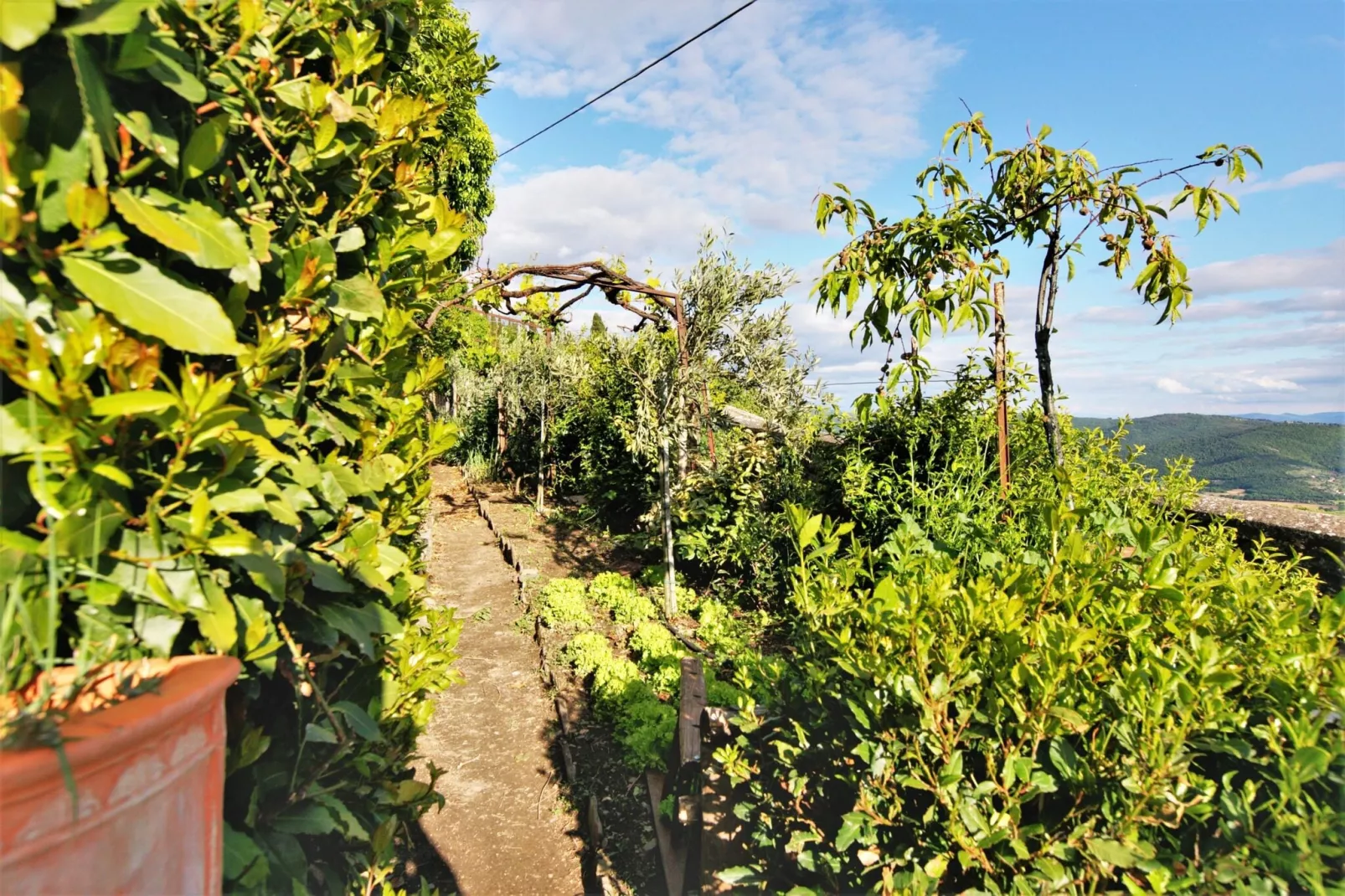 Villa Letizia-Jardin d'été