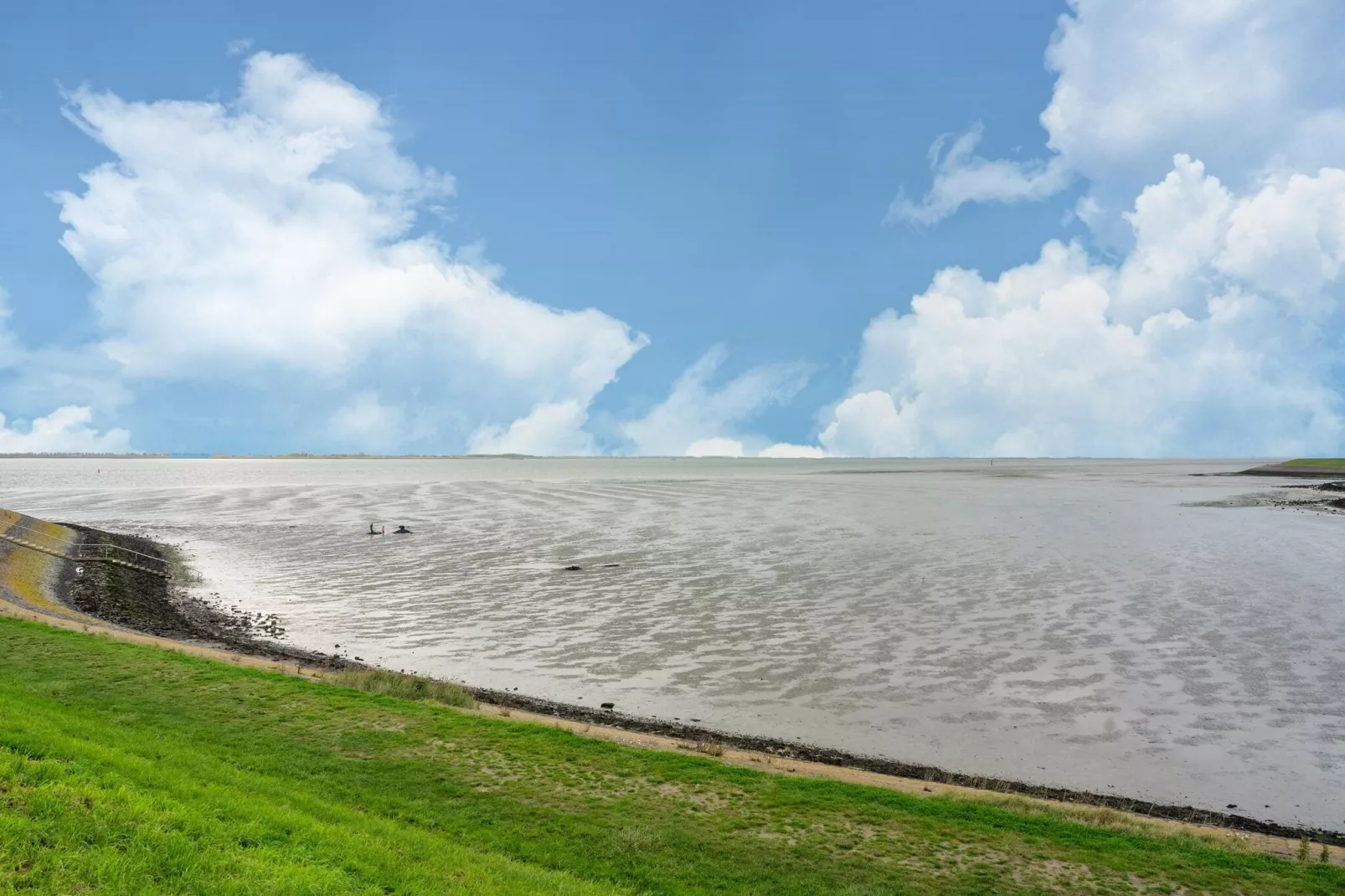 De Wulp Huis Nr 50-Areas summer 5km