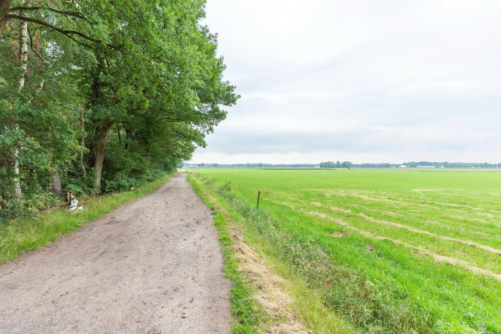 NR 4-Areas summer 1km
