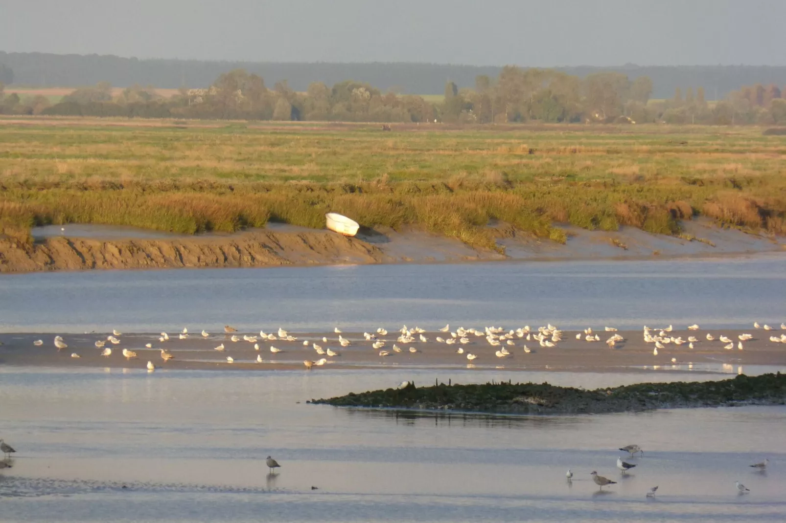 Ferienwohnung in Cayeux-sur-Mer 1 Etage-Areas summer 5km