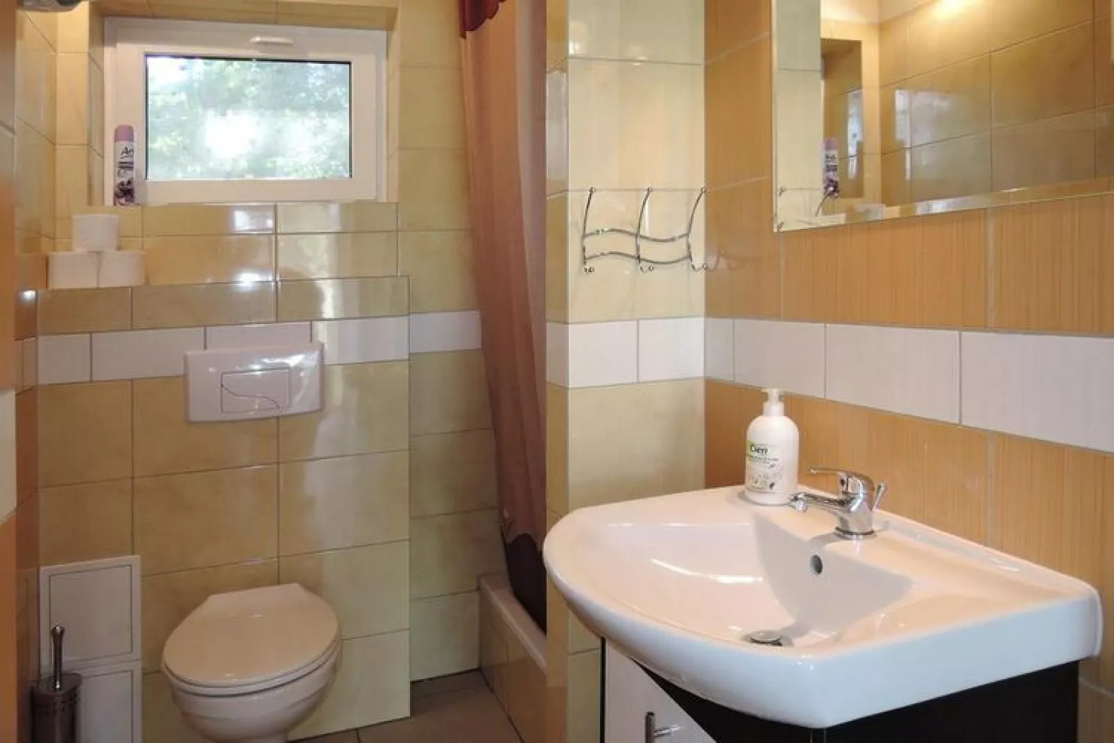 Holiday complex in Jezierzyce by Szczecin at the lake 30 qm for 4 persons Typ C Zolty-Bathroom