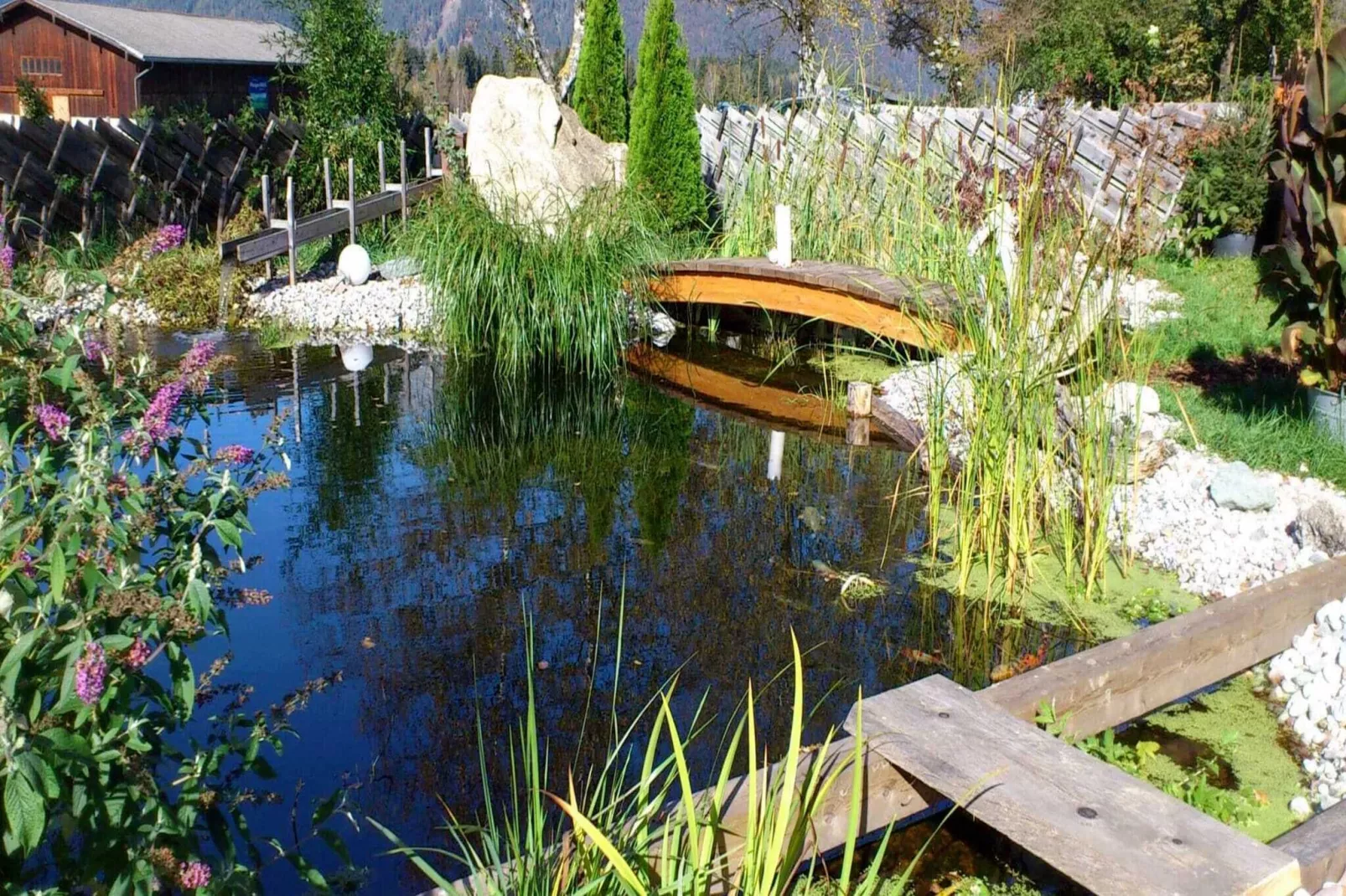 Ferienhaus-Pool