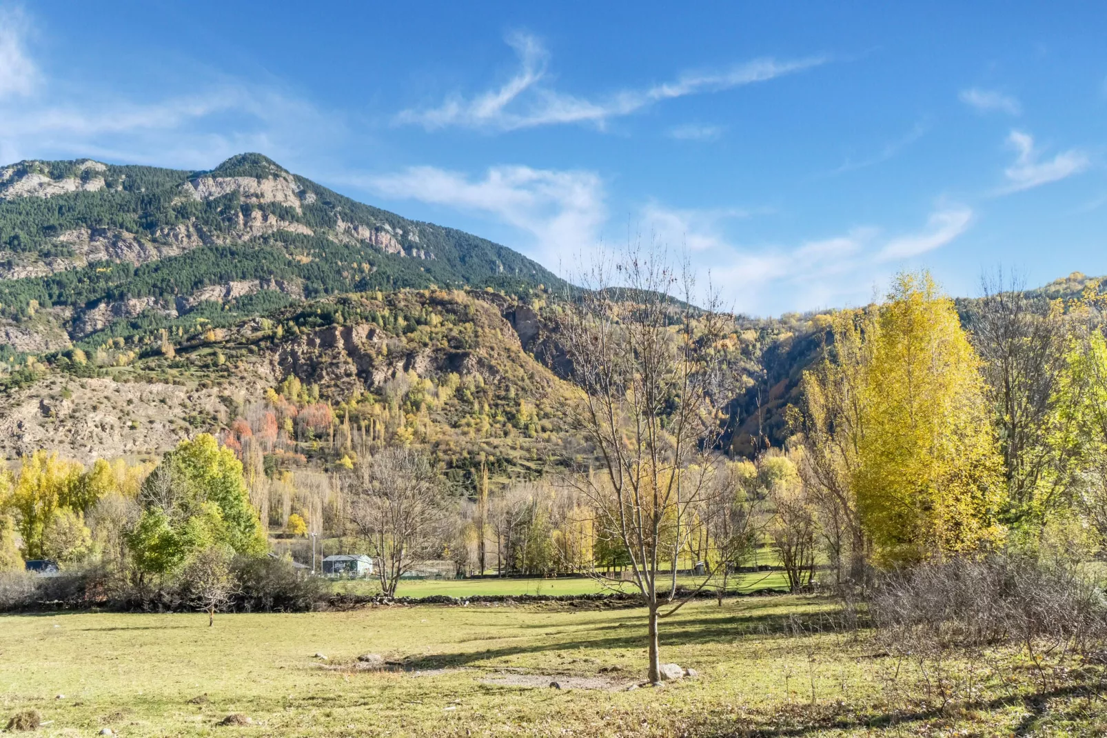 NATUSliving Benasque B-Gardens summer