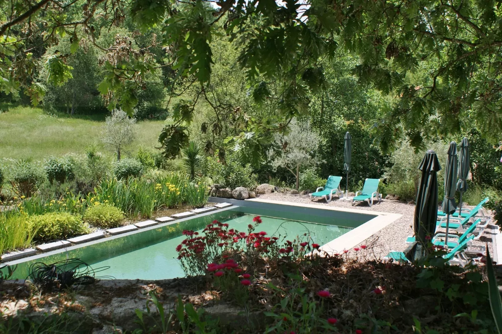 Casa Covas-Pool