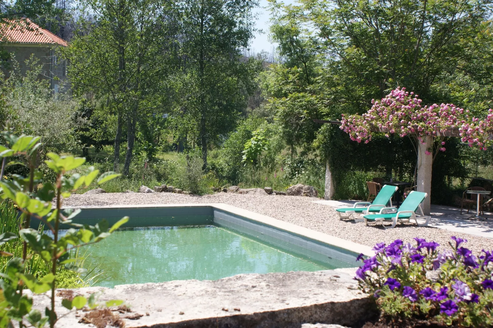 Casa Covas-Pool