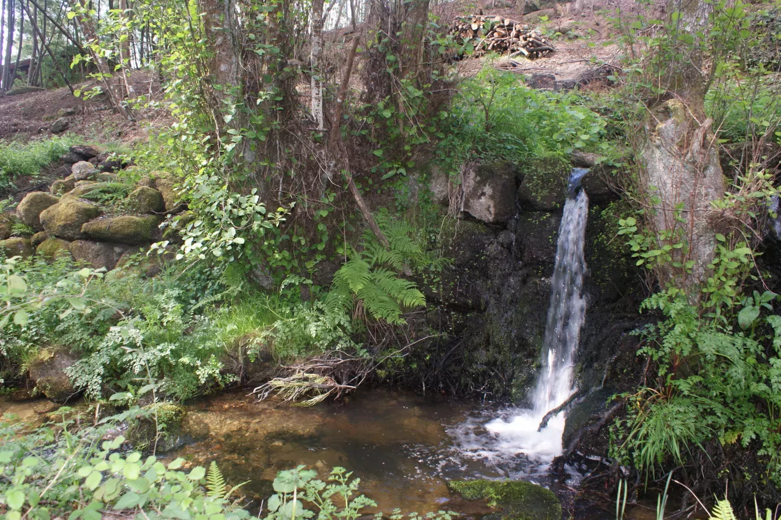 Casa Mimosa-Areas summer 1km