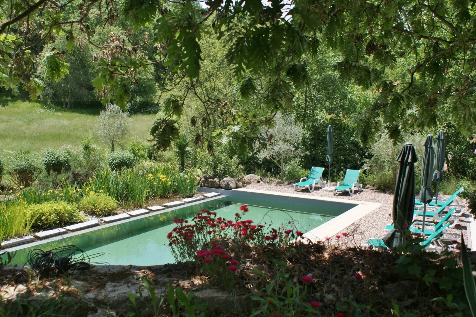 Casa Mimosa-Pool