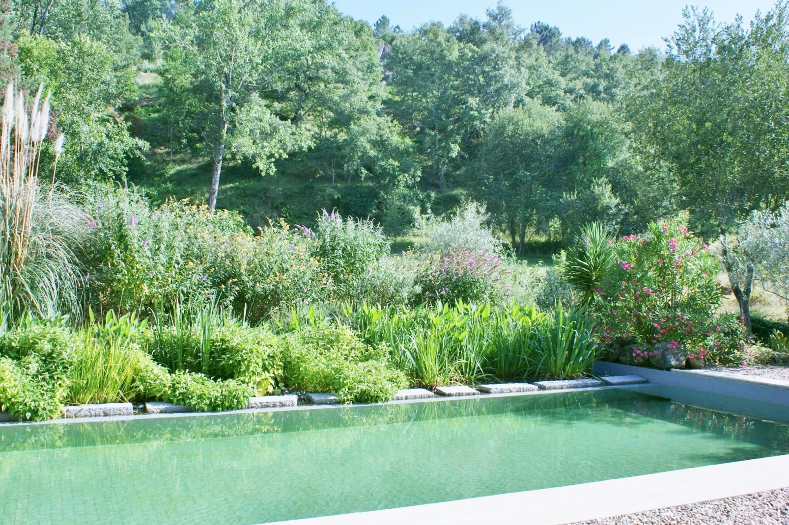 Casa Mimosa-Pool