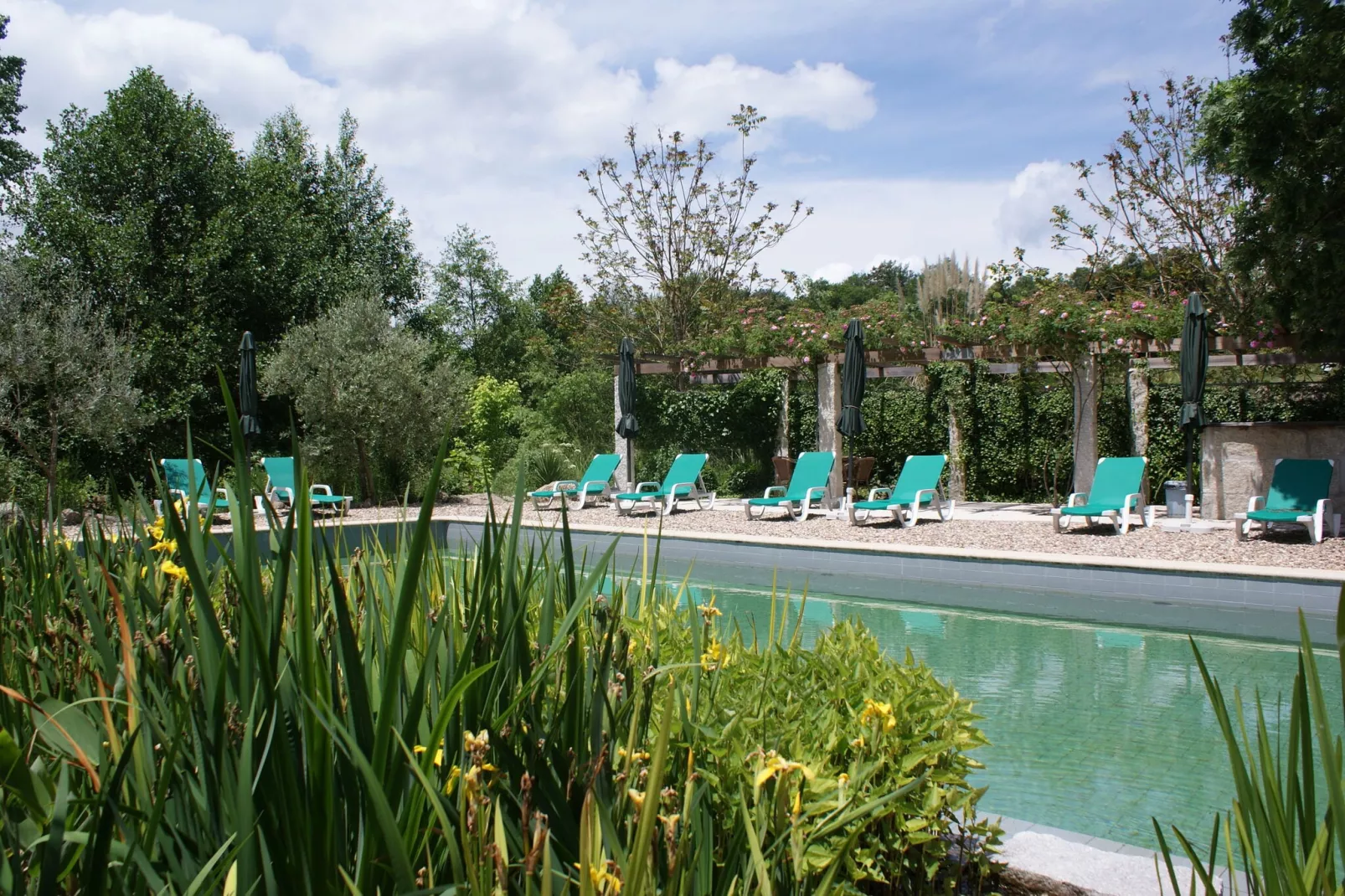 Casa Mimosa-Pool