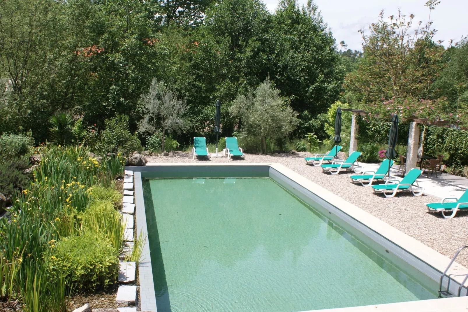 Casa Mimosa-Pool