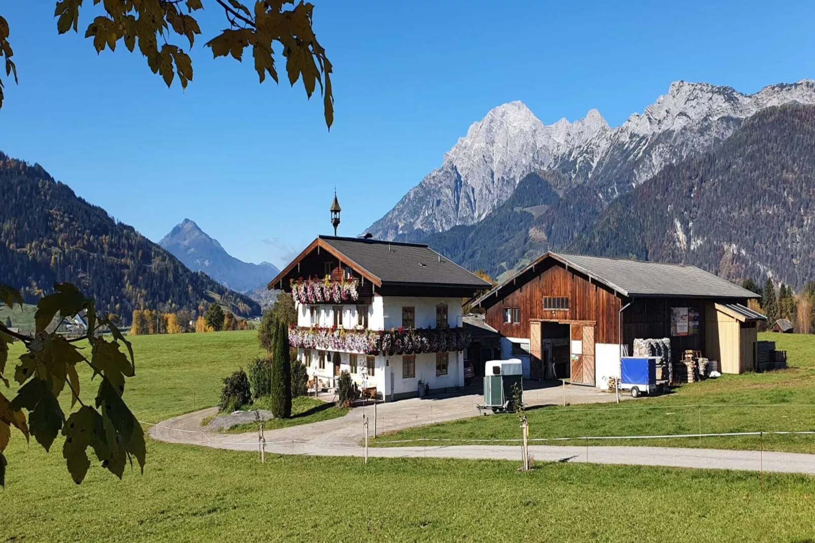 Ferienwohnung am Bio-Bauernhof-Exterior summer