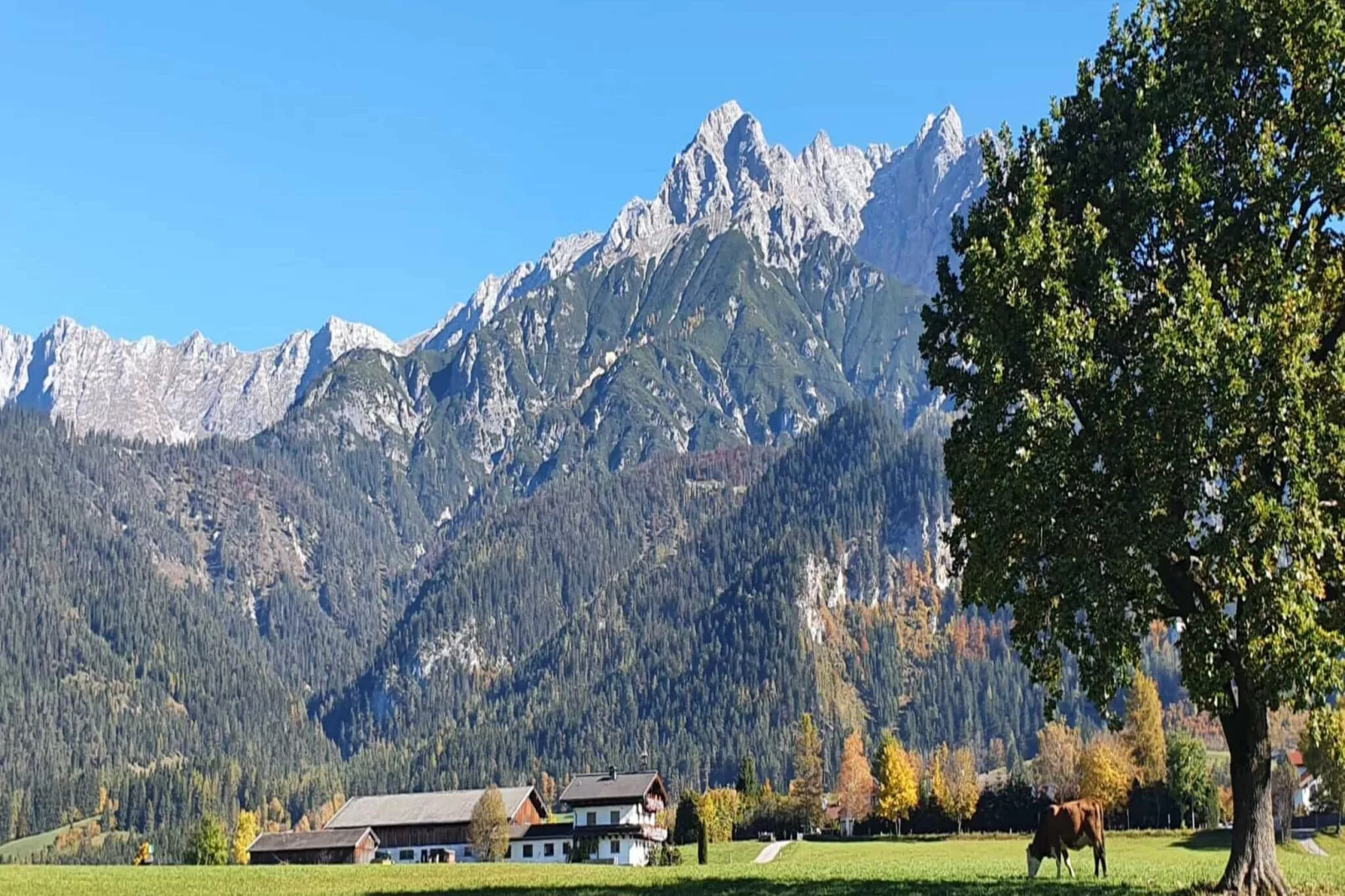Ferienhaus-Areas summer 1km