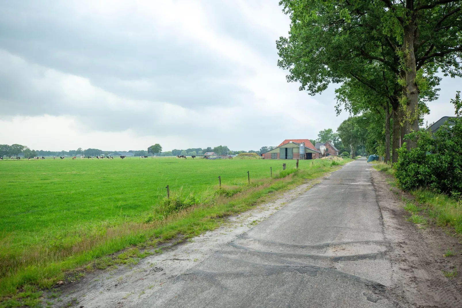 NR 3-Areas summer 1km