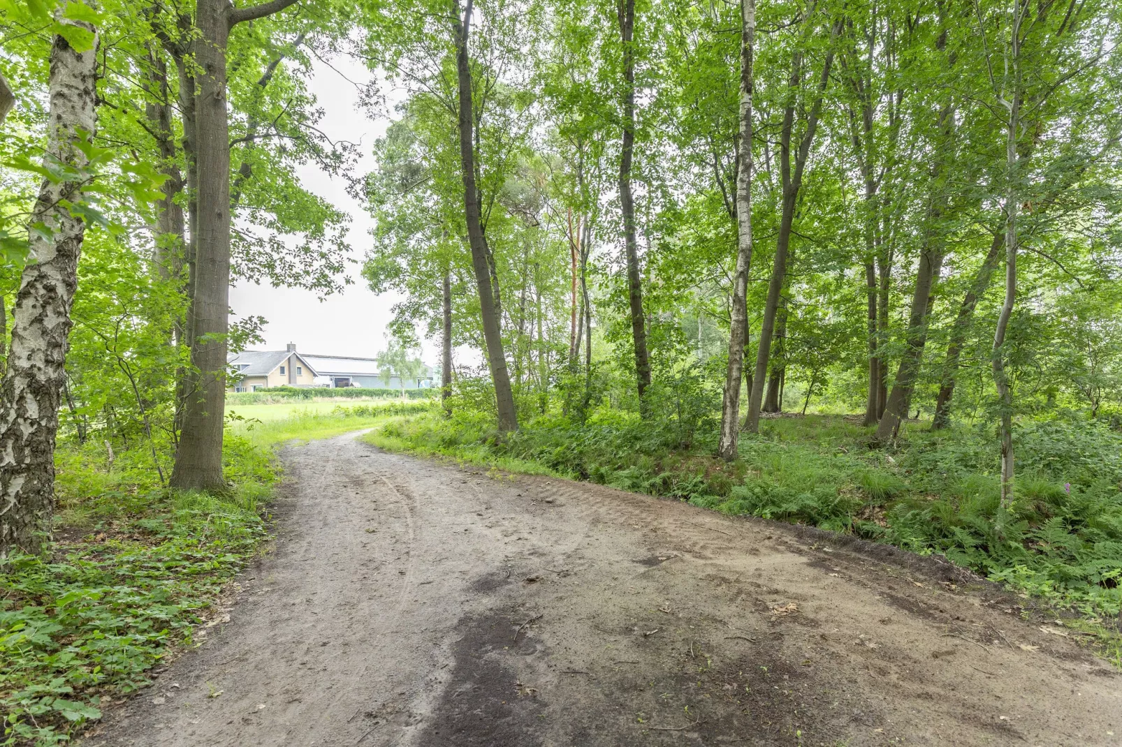 NR 3-Areas summer 5km