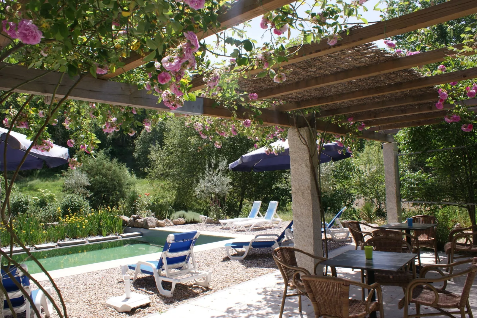 Casa Oliveirinha-Pool