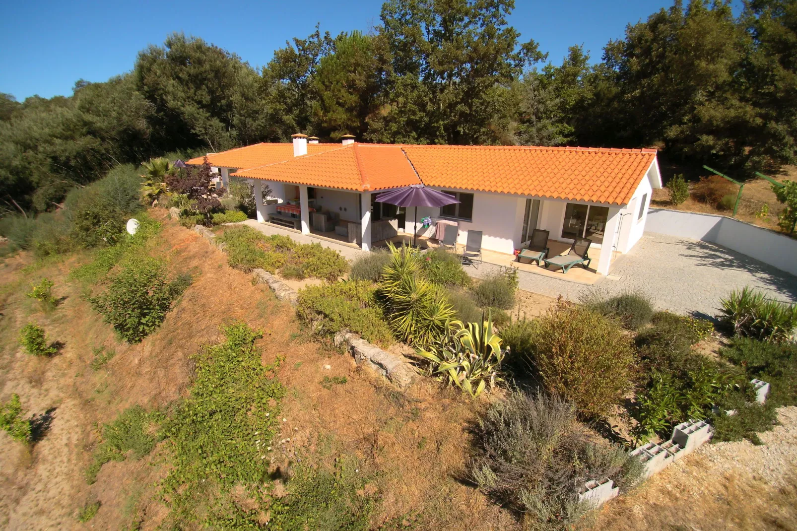 Casa Oliveirinha-Exterior summer