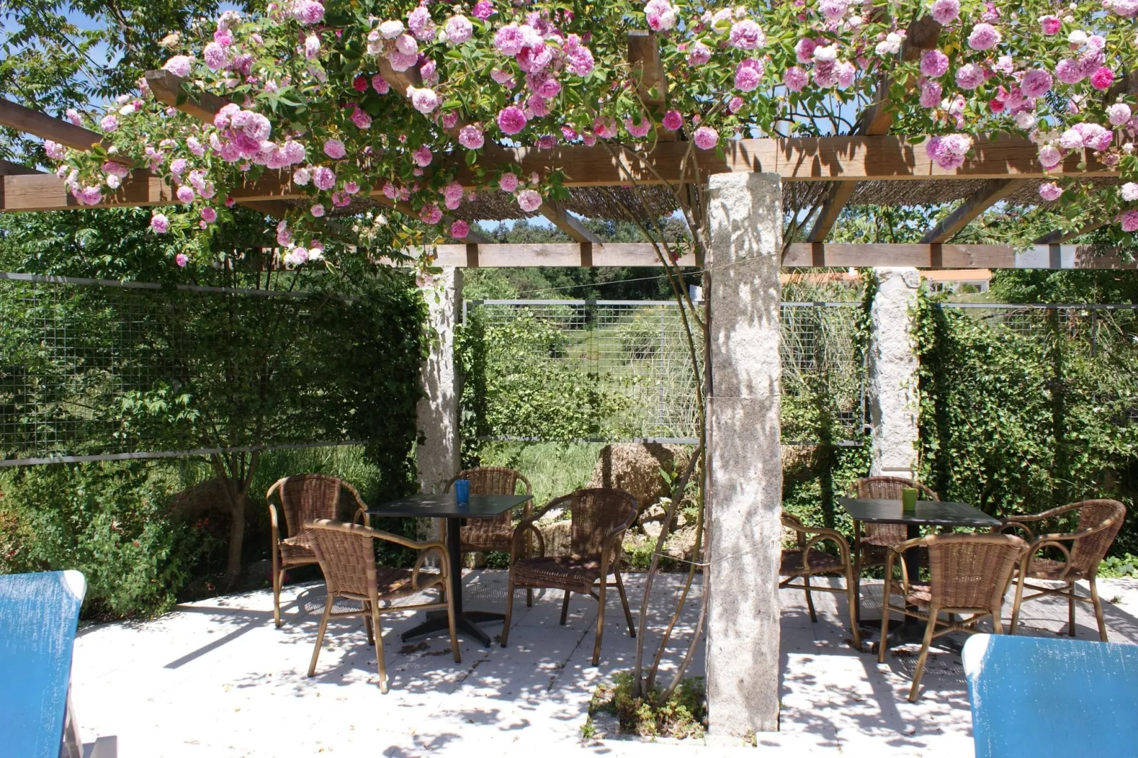 Casa Oliveirinha-Pool