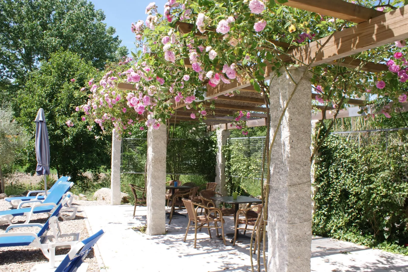 Casa Oliveirinha-Pool