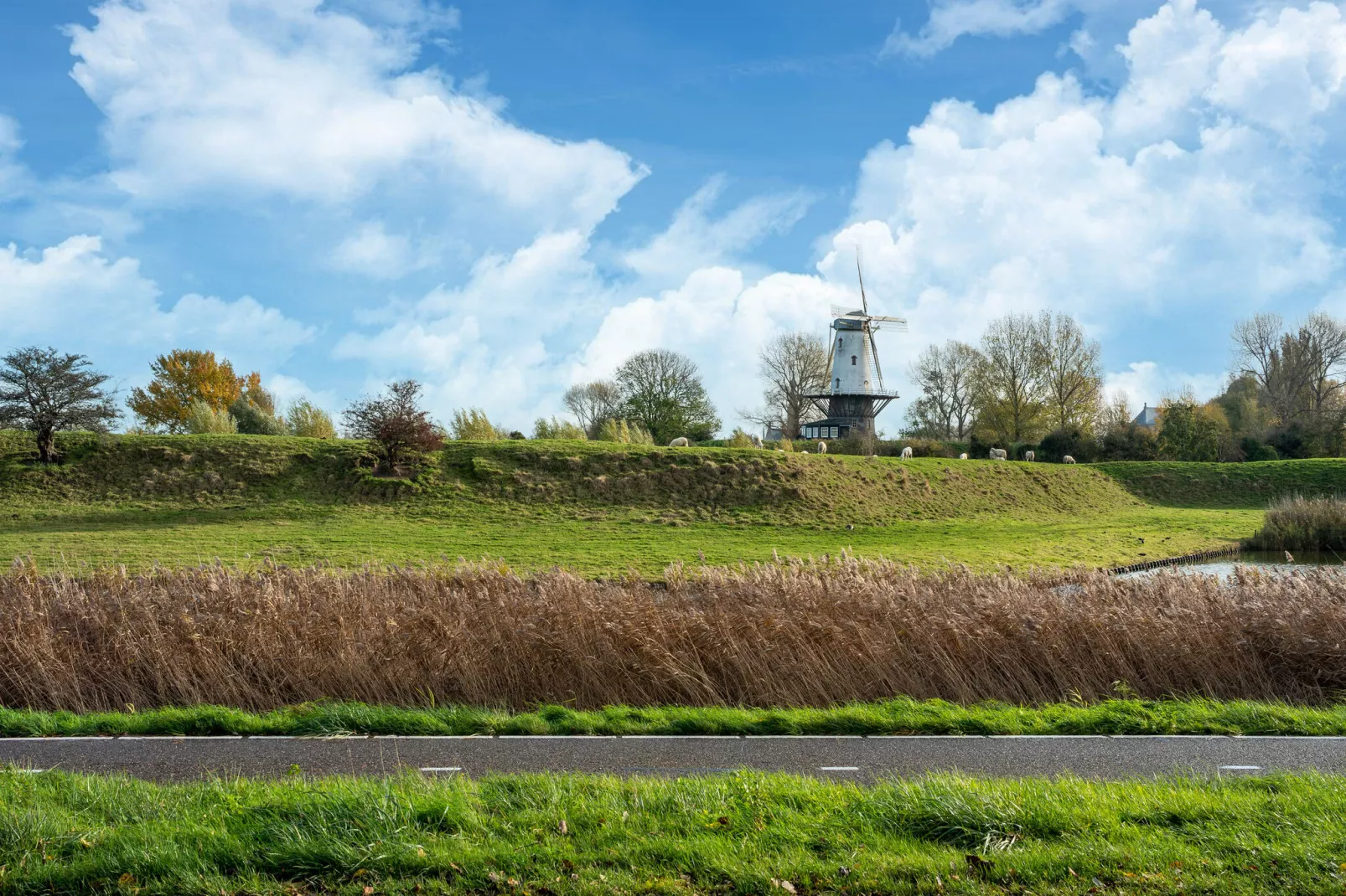 Vissershuisje Veere-View summer