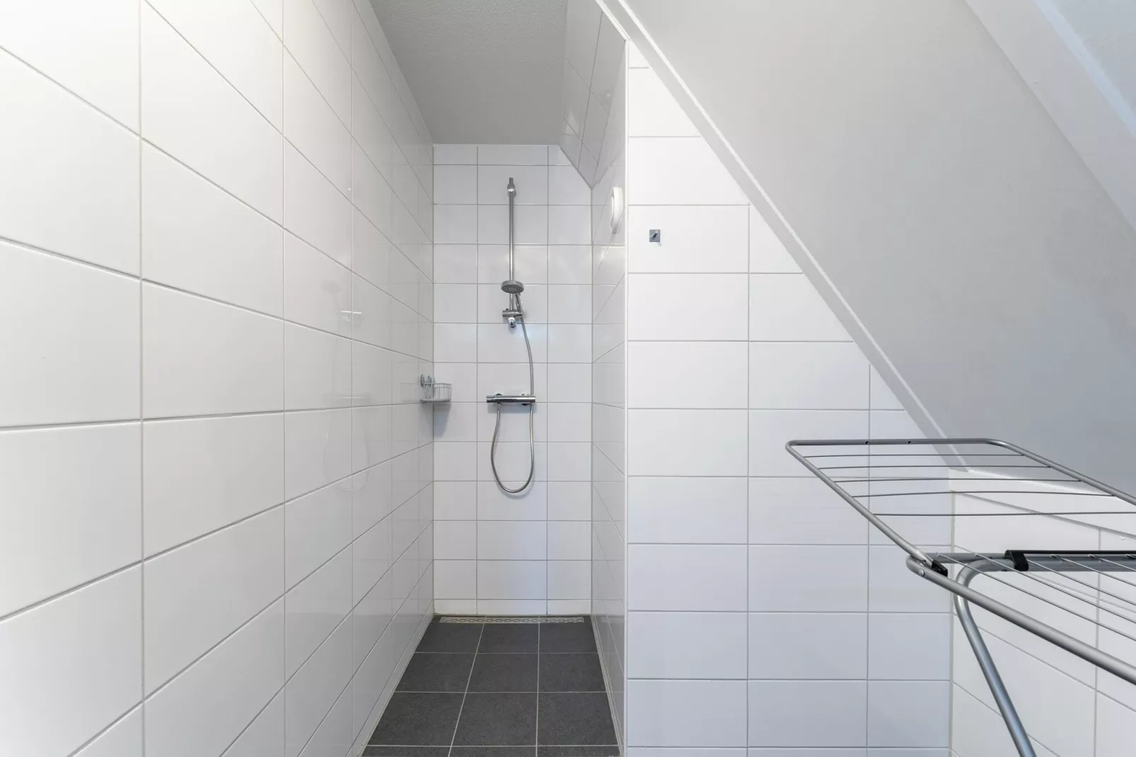 De Reiger Huis Nr 46-Bathroom