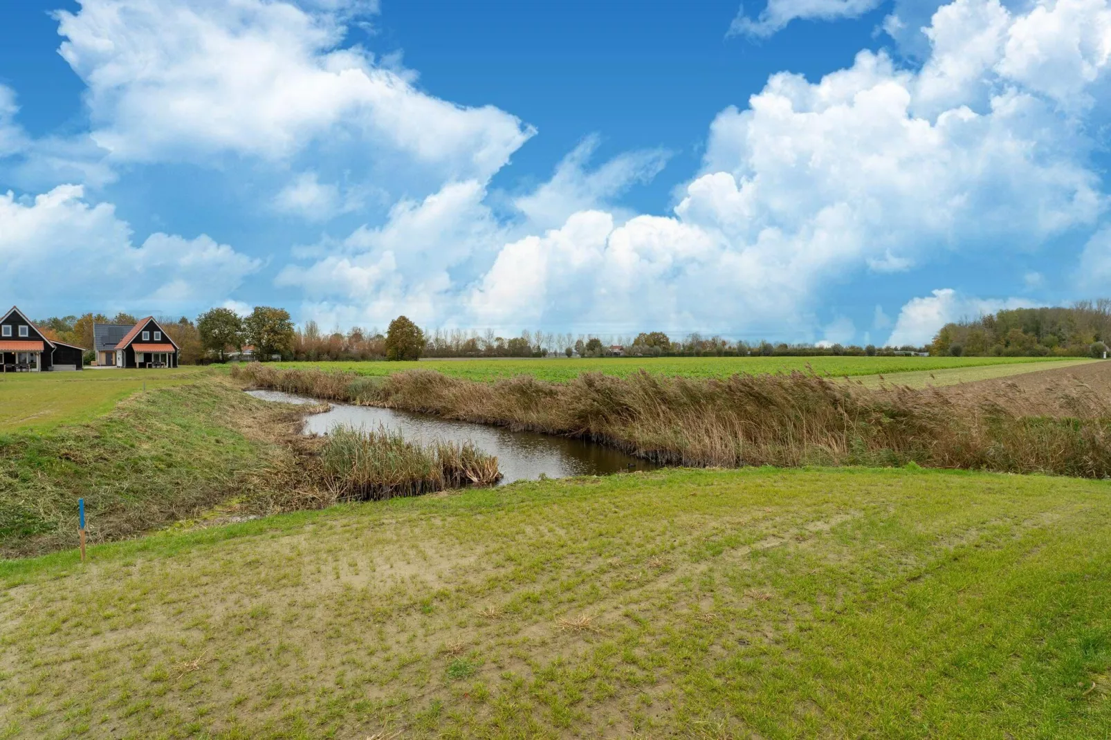 De Reiger Huis Nr 46-View summer