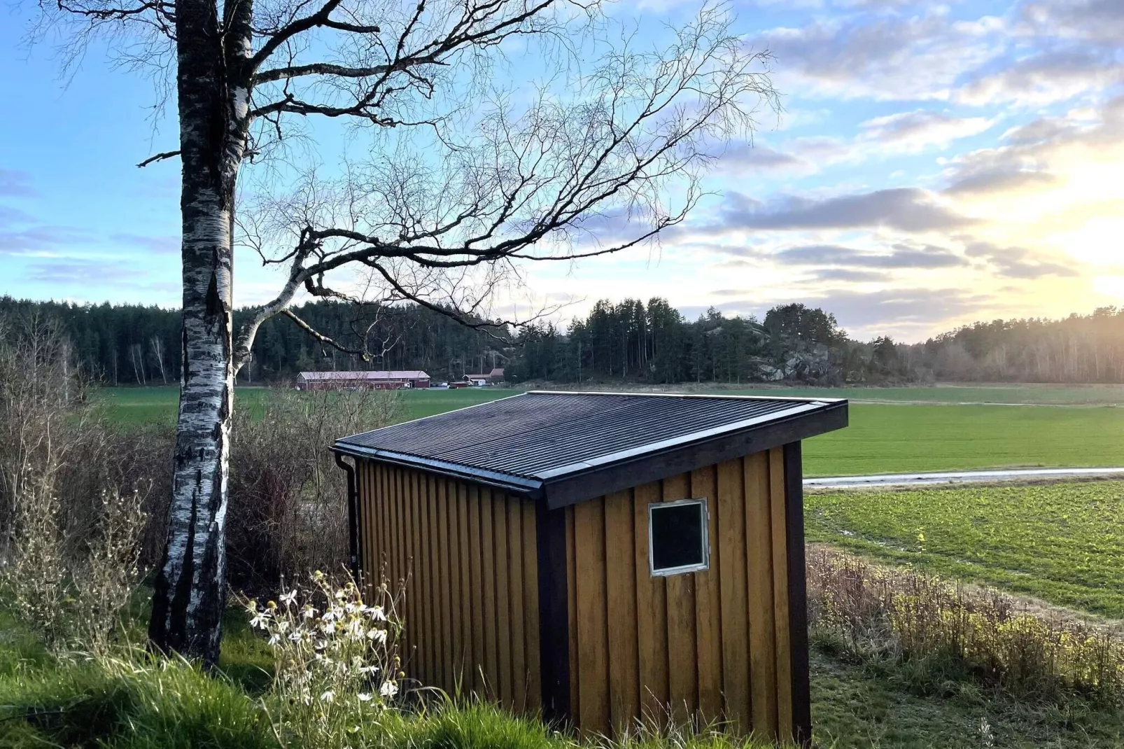 Maison de vacances pour 4 a VITTBOLANDET-By Traum-Extérieur