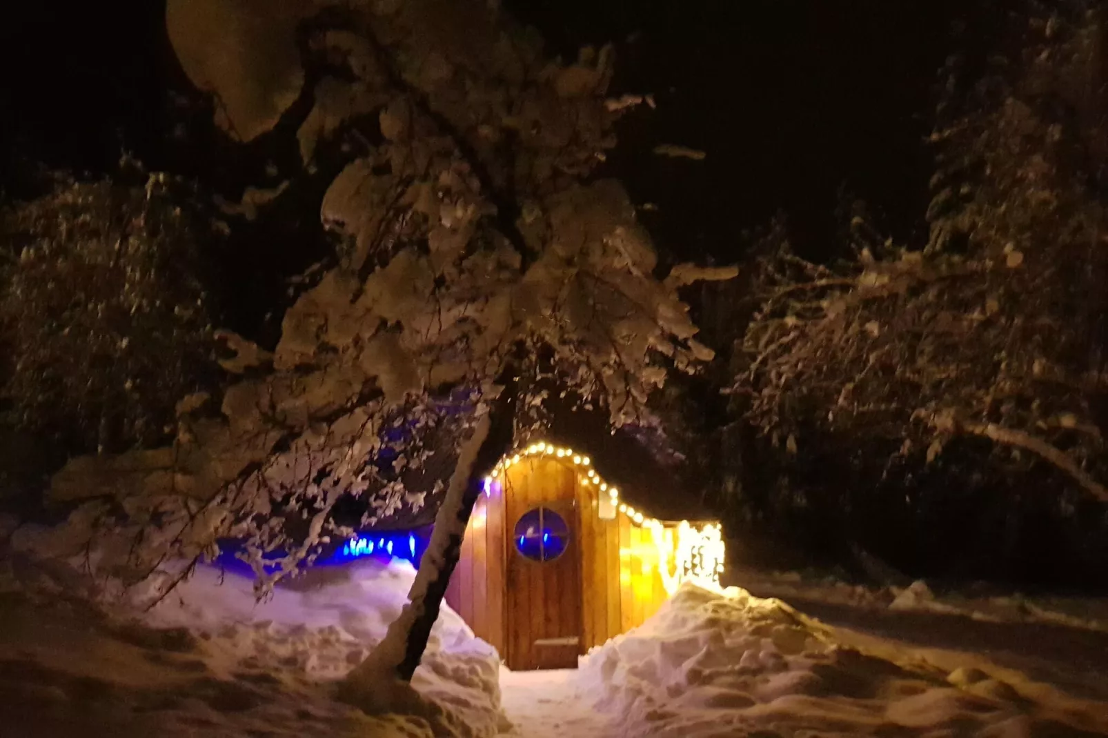 A l'Orée des Bois-Garden winter