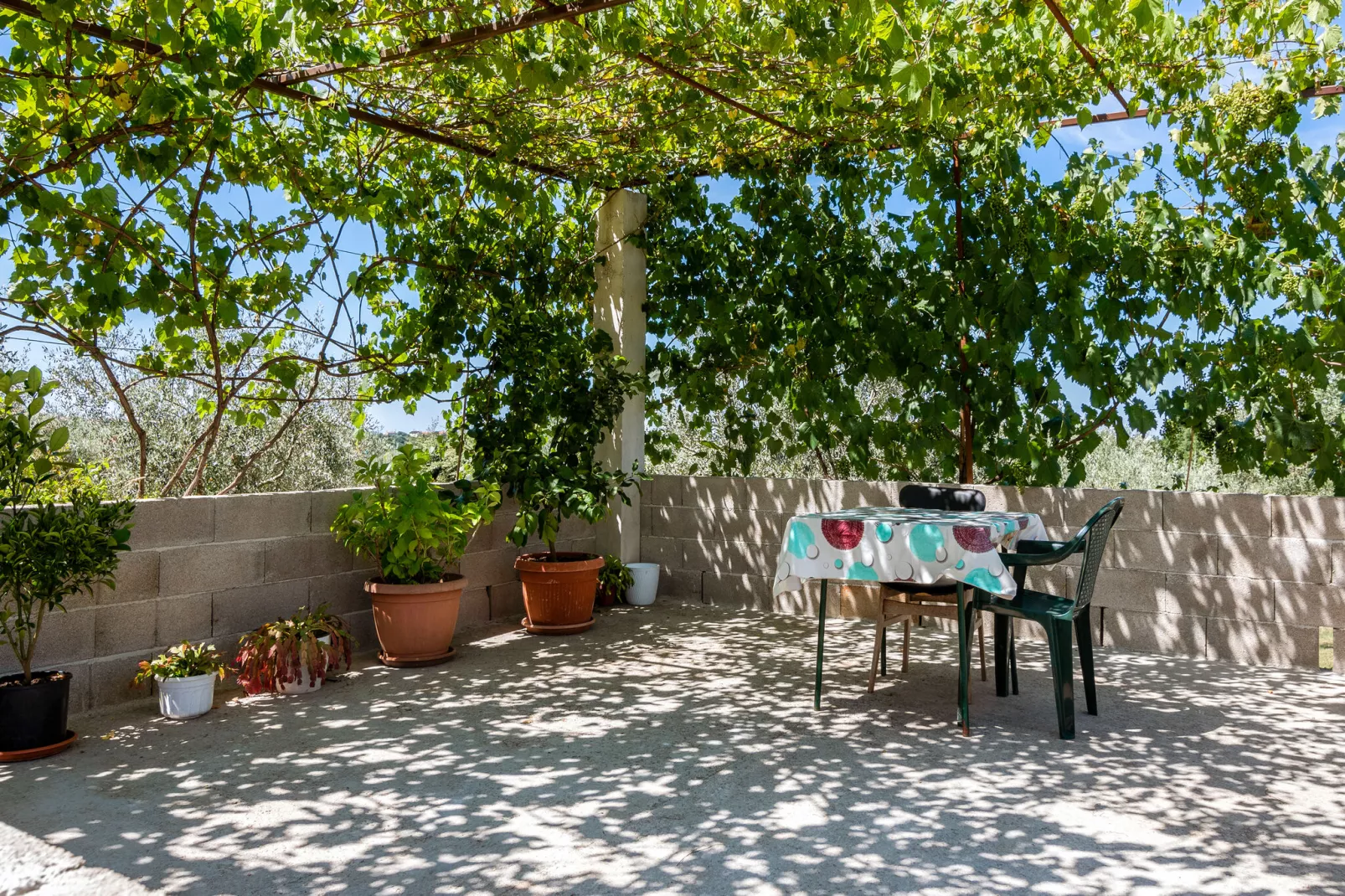 Apartment Korta-Gardens summer