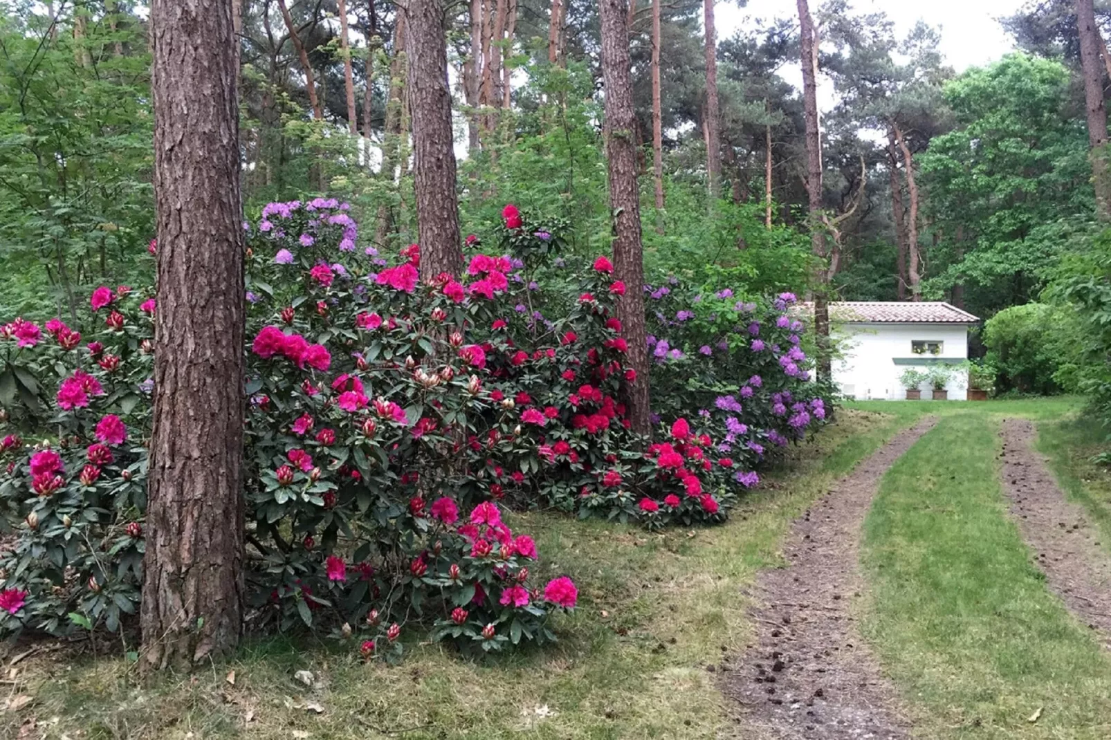 Het Beerenbos-Exterior summer
