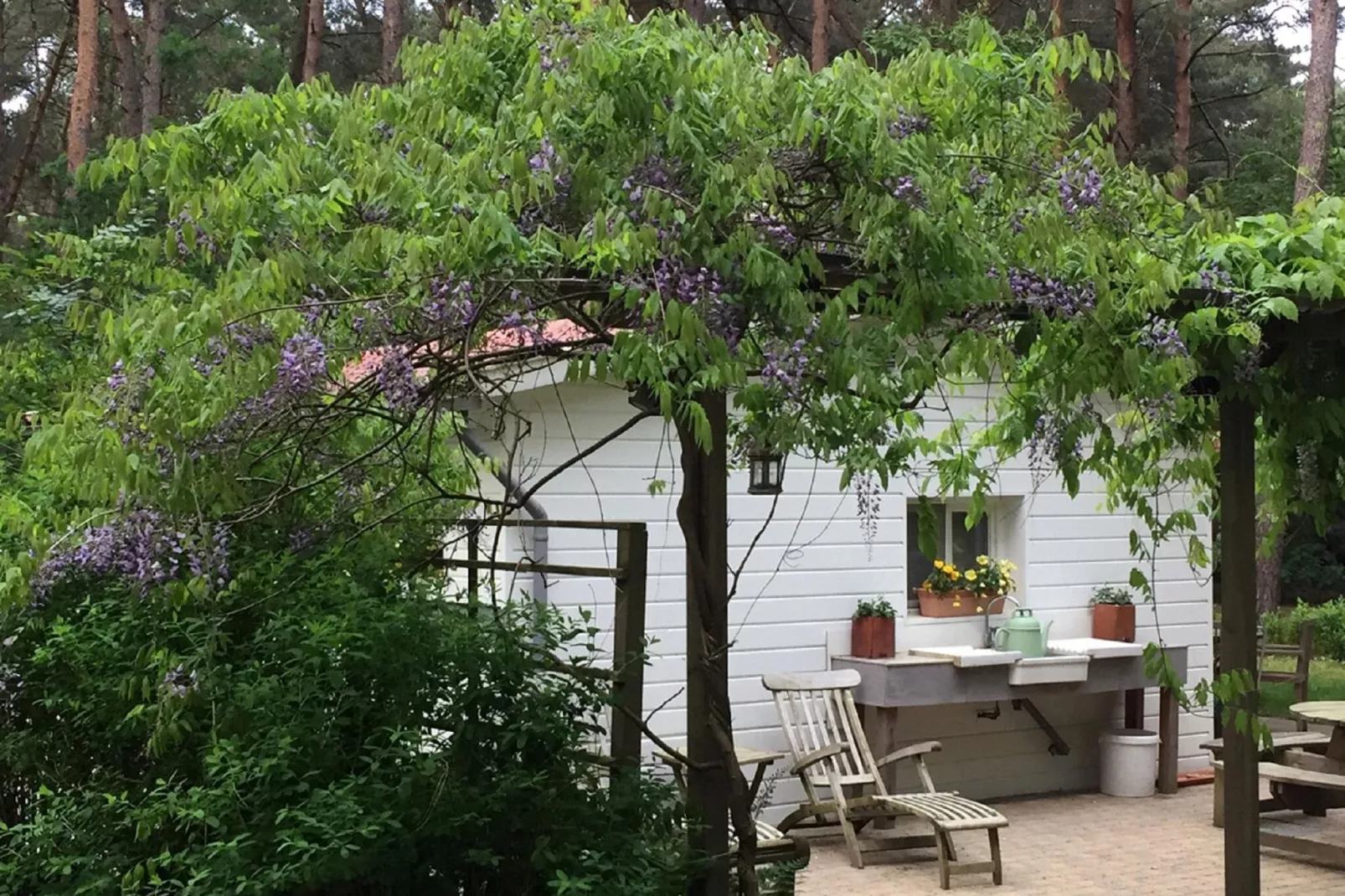 Het Beerenbos-Exterior summer