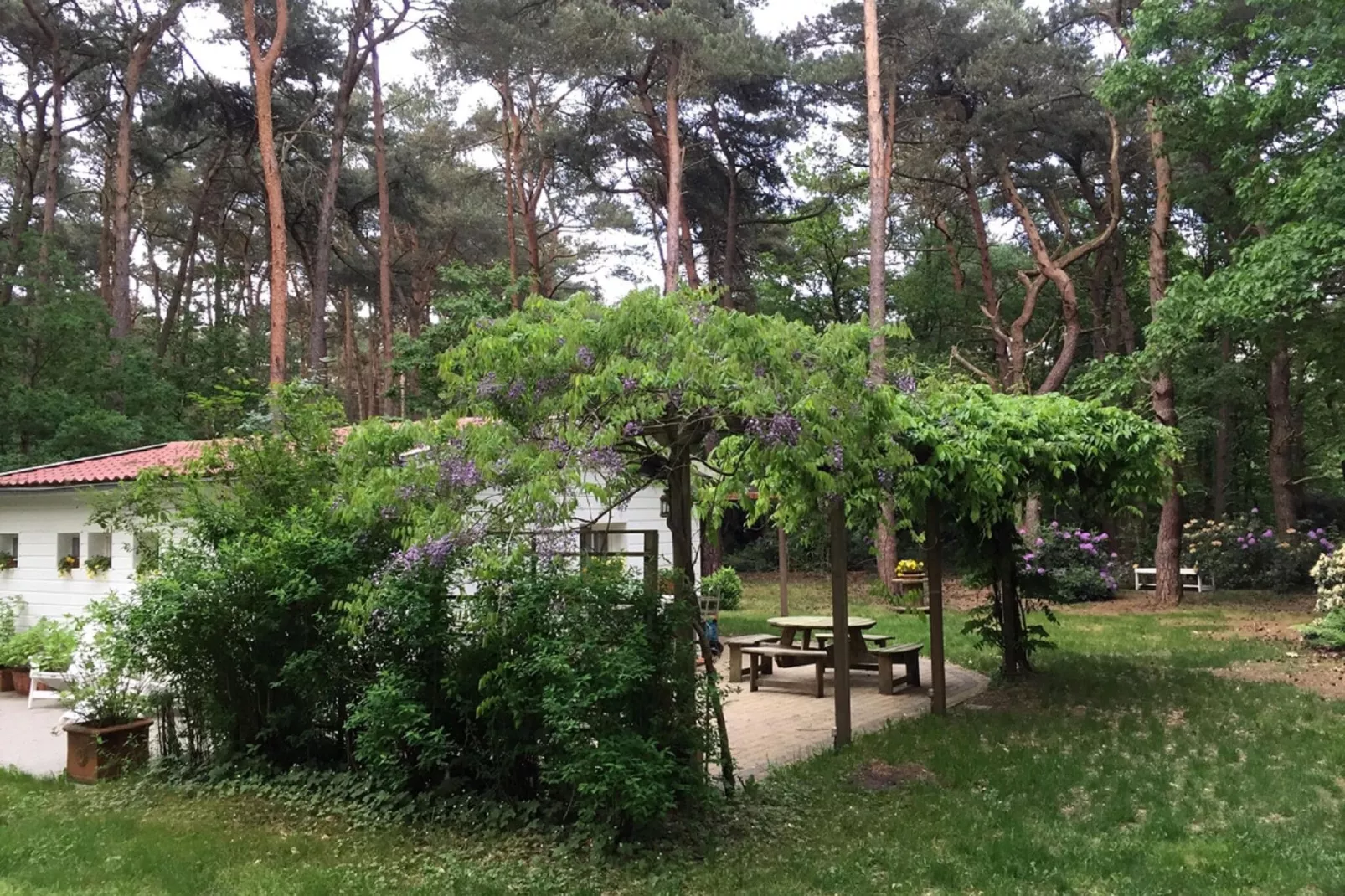 Het Beerenbos-Exterior summer