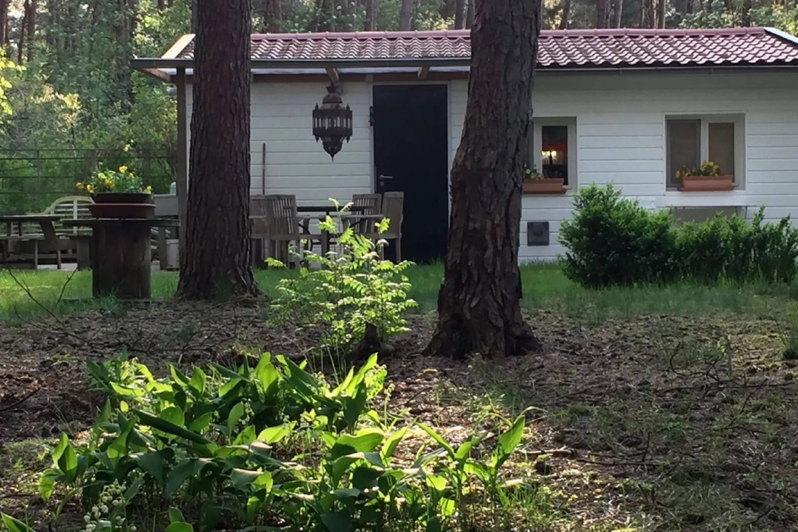 Het Beerenbos-Exterior summer