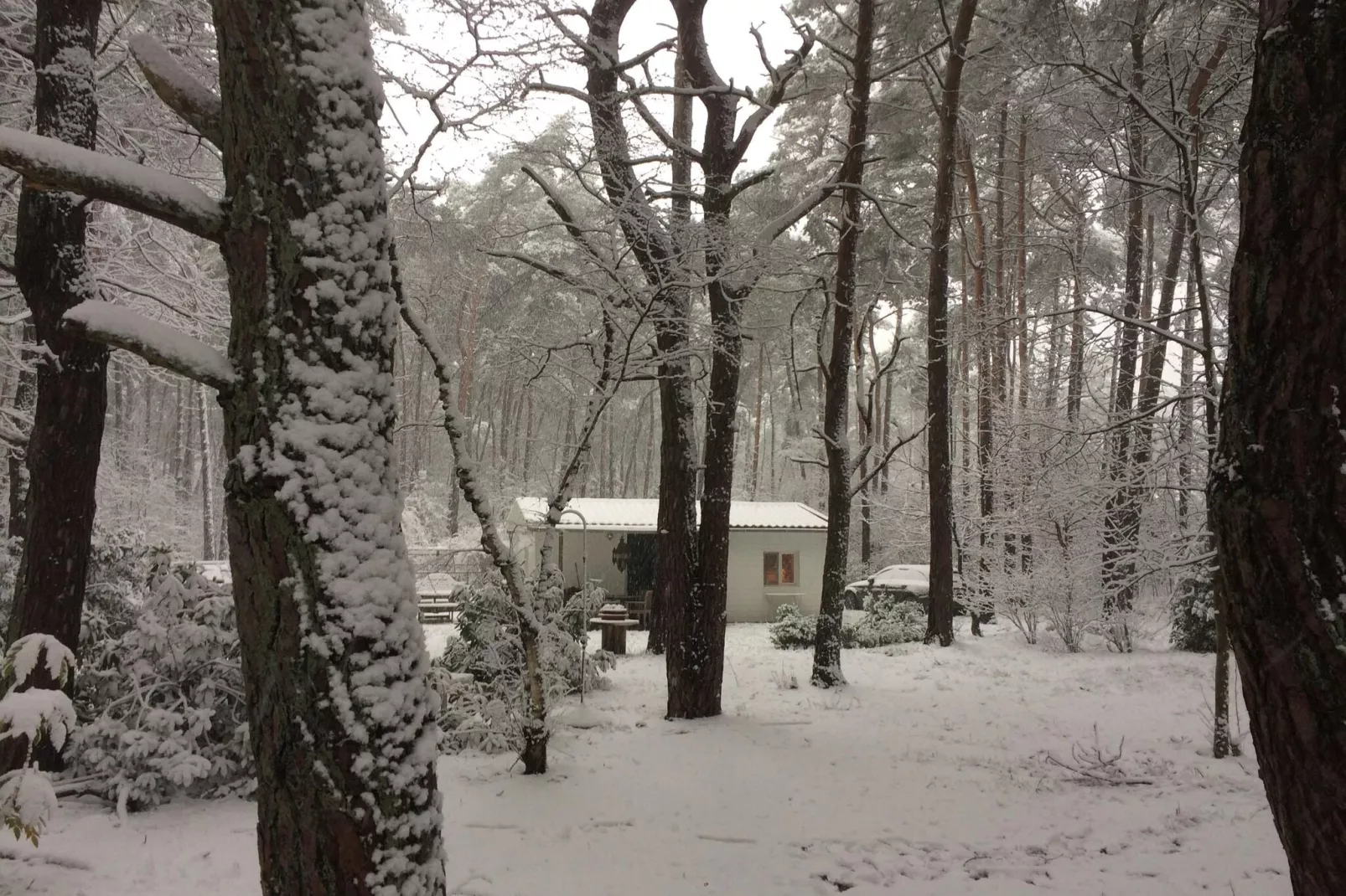 Het Beerenbos-Exterior winter