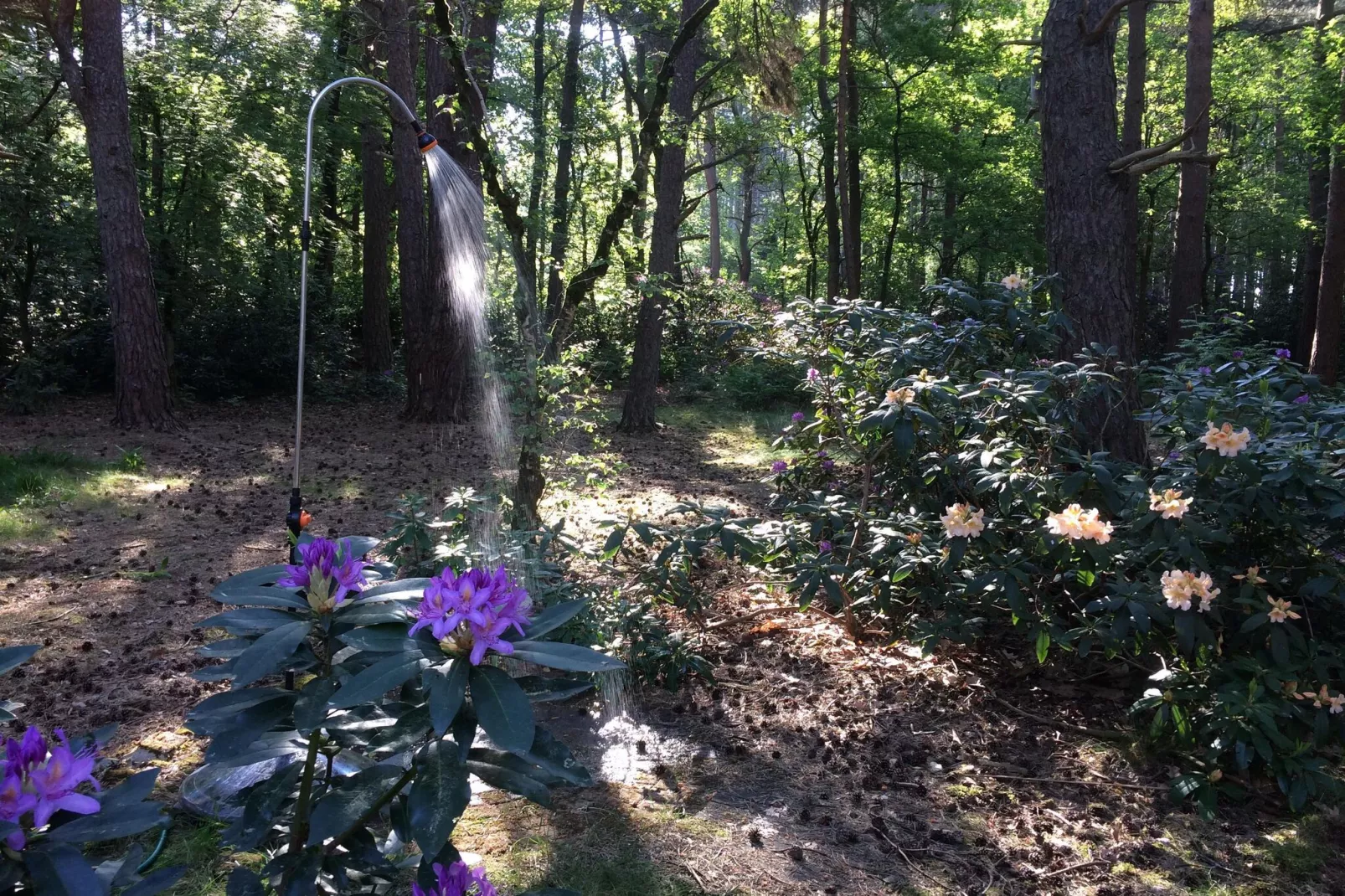 Het Beerenbos-Gardens summer