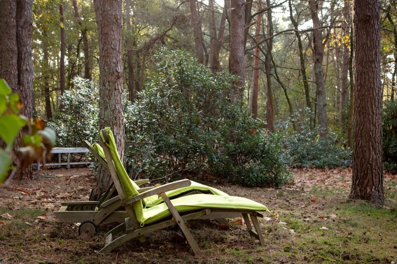 Het Beerenbos-Gardens summer